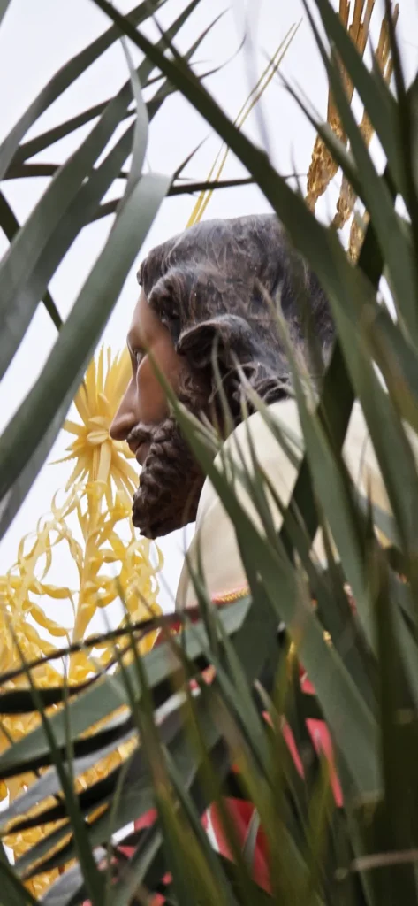 Hermandad Nuestro Padre Jesús en su entrada Triunfal en Jerusalén