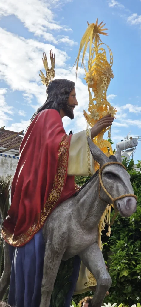 Hermandad Nuestro Padre Jesús en su entrada Triunfal en Jerusalén