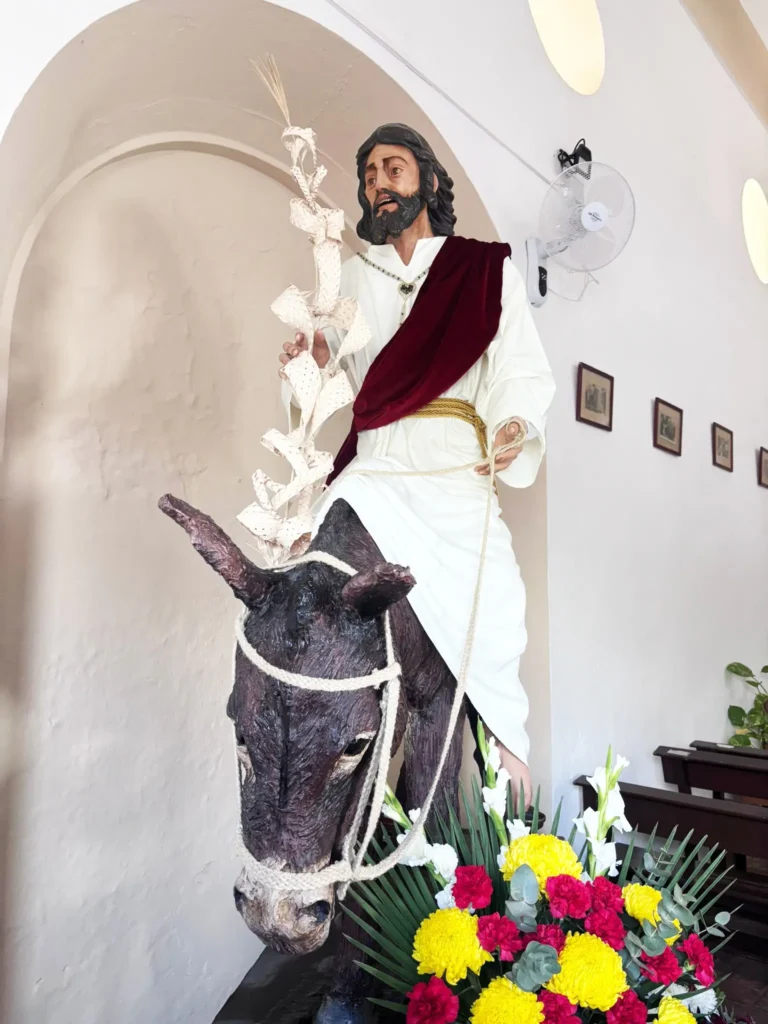 Hornachuelos 2025 Hermandad Nuestro Padre Jesús en su Entrada Triunfal a Jerusalén