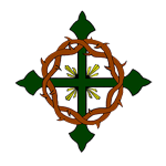 ESCUDO TRANSPARENTE (1)